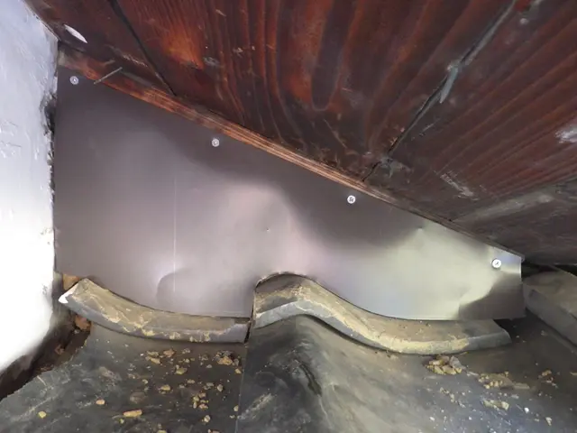 害獣駆除はお任せください！25年の経験と実績で完全解決！【現地調査・見積無料】サービスの画像