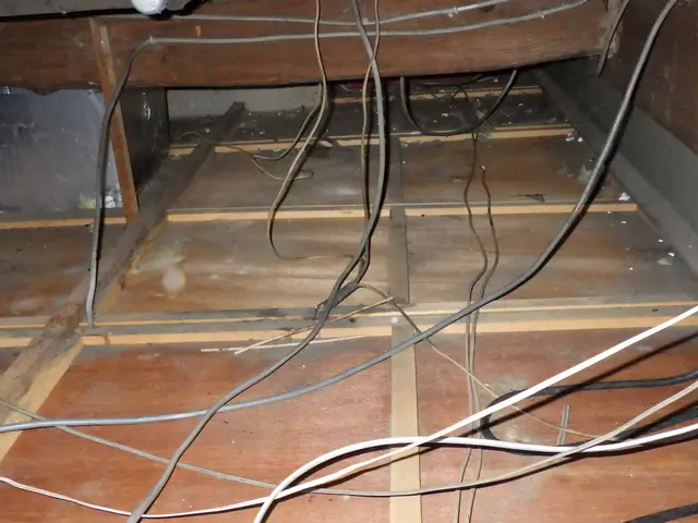 害獣駆除はお任せください！25年の経験と実績で完全解決！【現地調査・見積無料】サービスの画像