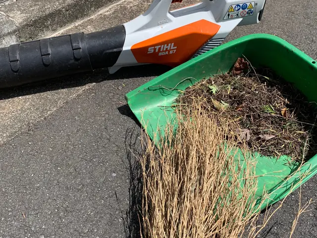 落ち葉シーズンに入ります！植木屋さんだからこそデキる！スピーディーに仕上げます！サービスの画像