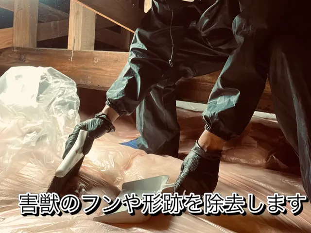 狩猟免許、防除作業監督者の有資格者の駆除専門家が対応します。ノミダニ対策も完備サービスの画像