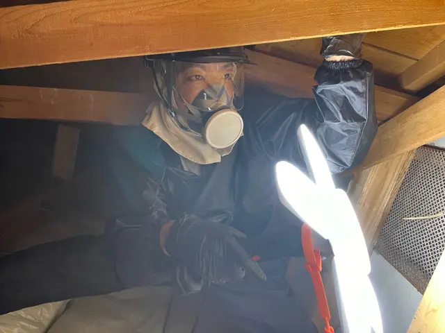 狩猟免許、防除作業監督者の有資格者の駆除専門家が対応します。ノミダニ対策も完備サービスの画像