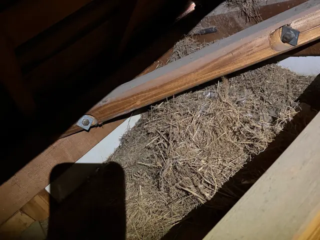 スピード返信★２４H対応★お気軽にお問い合わせください★サービスの画像