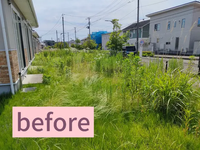 ４児のパパがお伺いします♪草の悩み、即解決、確かな技術で美しい仕上がり(草刈機)サービスの画像