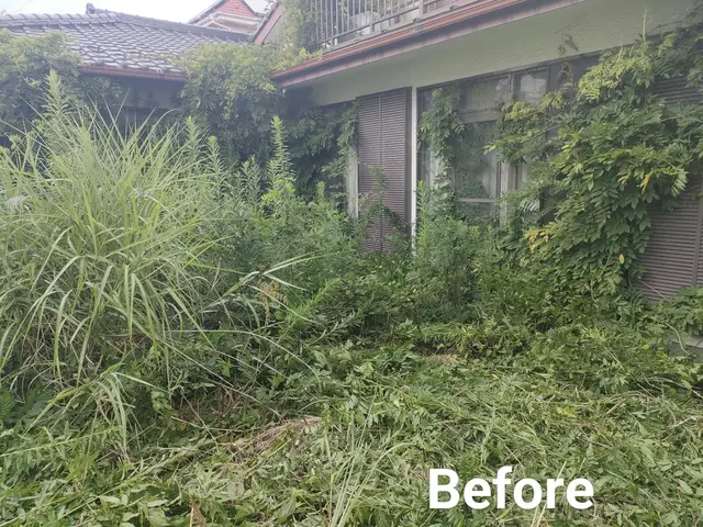 ４児のパパがお伺いします♪草の悩み、即解決、確かな技術で美しい仕上がり(草刈機)サービスの画像