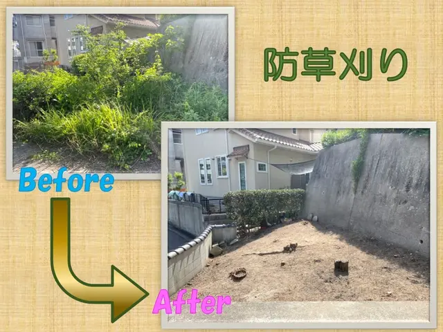 手入れの大変な雑草！プロの作業でキレイにします！サービスの画像