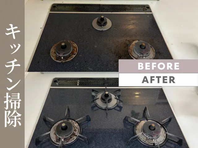 高齢者の方からご好評！暮らしに寄り添う上質なお手伝い、安心と笑顔をお届けしますサービスの画像