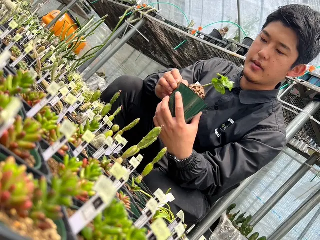 業界歴10年！清潔で虫が出にくい無菌の自社培養土で観葉植物を訪問植え替え！サービスの画像