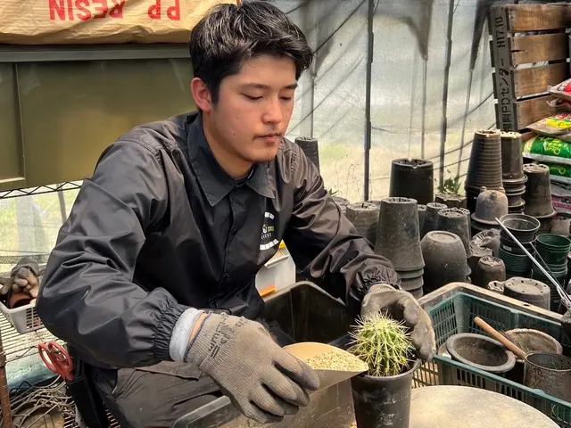 業界歴10年！清潔で虫が出にくい無菌の自社培養土で観葉植物を訪問植え替え！サービスの画像