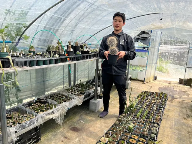 業界歴10年！清潔で虫が出にくい無菌の自社培養土で観葉植物を訪問植え替え！サービスの画像