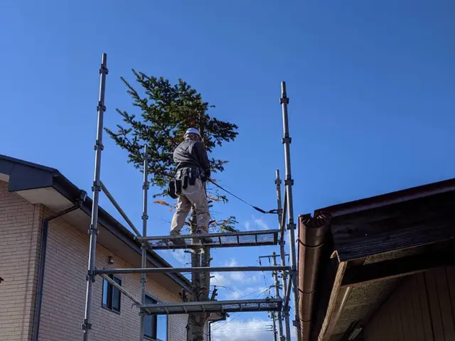 夏【手に負えない×困った樹木×スッキリ解決☆】庭木伐採は任せて相談☆☆☆3星サービスの画像