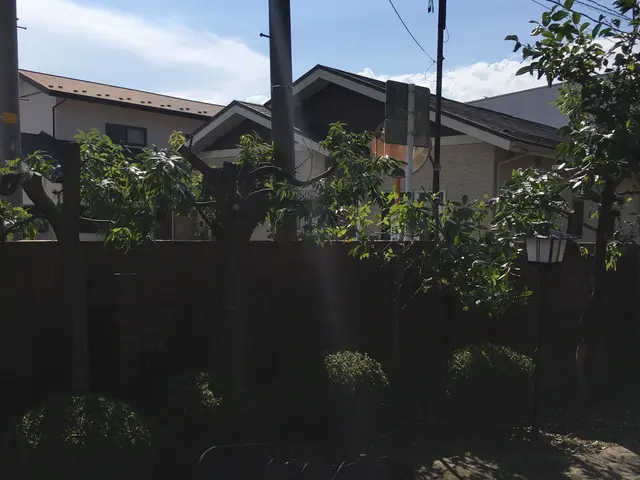 夏【手に負えない×困った樹木×スッキリ解決☆】庭木伐採は任せて相談☆☆☆3星サービスの画像