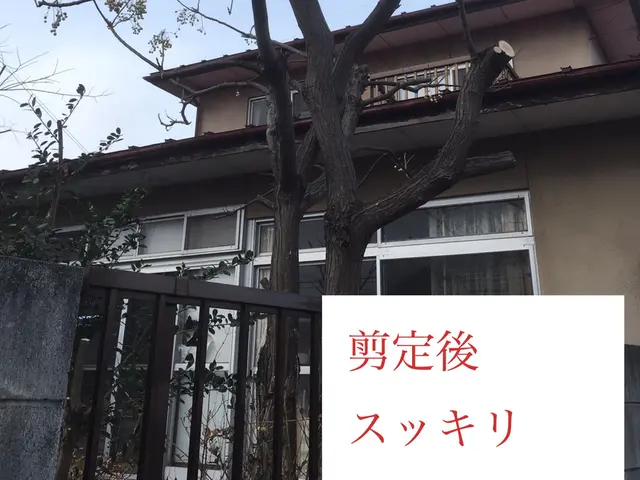 夏【手に負えない×困った樹木×スッキリ解決☆】庭木伐採は任せて相談☆☆☆3星サービスの画像