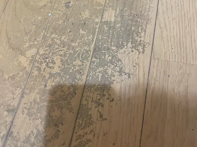 【入居・退去】ピカピカに感謝を込めて　【店舗美装】気持ち良い空間の提供サービスの画像