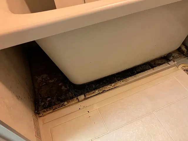 年中無休◎大手業務経験豊富◎外注なし自信の自社対応サービスの画像