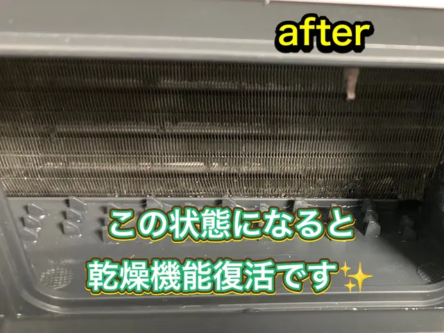 【女性対応店】乾燥機能が落ちてきた、中の汚れ・カビが気になった時に！サービスの画像