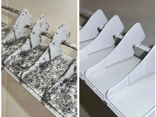 「環境にやさしいエコ洗剤使用」　★複数台数で割引あり★　３台で21,000円！サービスの画像