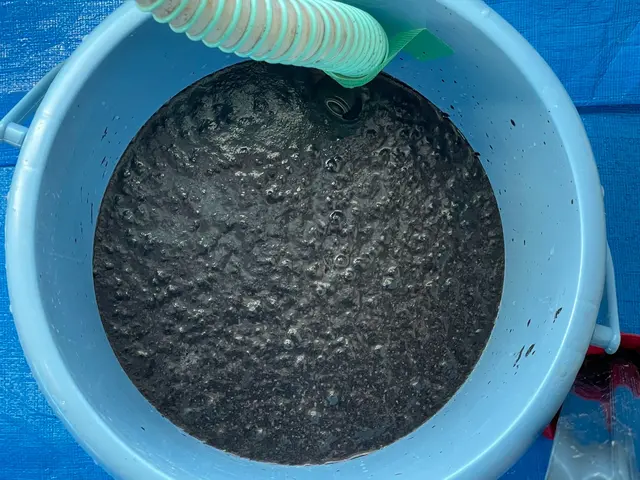 「環境にやさしいエコ洗剤使用」　★複数台数で割引あり★　３台で21,000円！サービスの画像