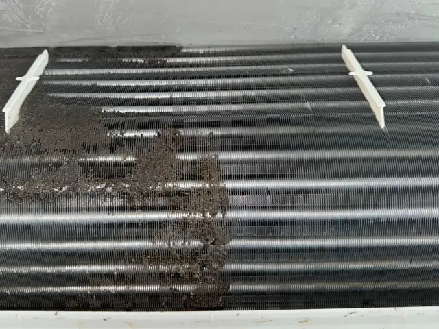 「環境にやさしいエコ洗剤使用」　★複数台数で割引あり★　３台で21,000円！サービスの画像