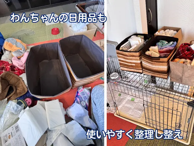 【忙しい毎日に】住む人が落ち着き暮らしが回りやすくなる整理整頓サポートサービスの画像