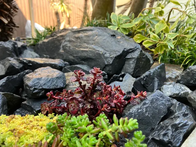 ★作庭・お庭の改修・花壇・植栽等ご相談下さい★料金は全て相談　和風・和モダンも可サービスの画像