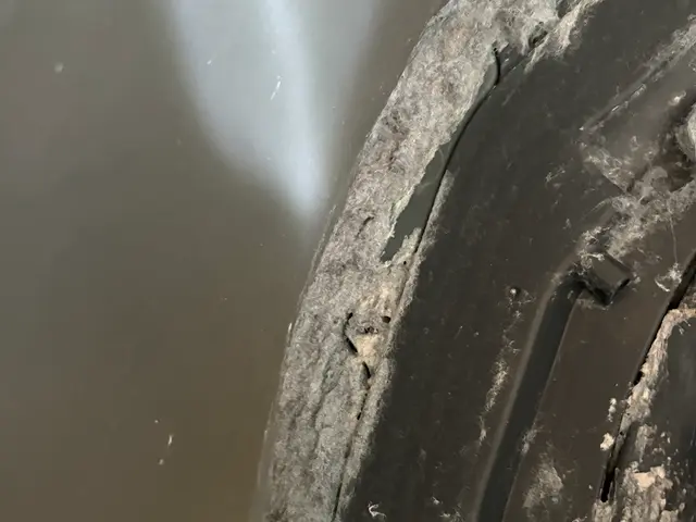 ◆期間限定値下げ3万円→2万円◆ドラム洗濯機分解清掃(+浴室簡易おそうじ付)サービスの画像