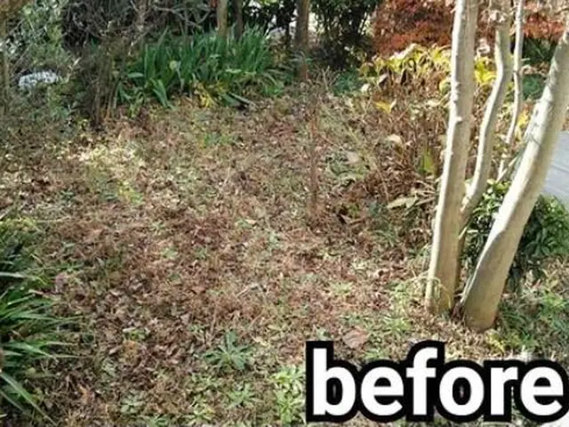 《業歴28年》職人親子でお伺い！スピーディーで丁寧な作業！※PayPay払い可能サービスの画像