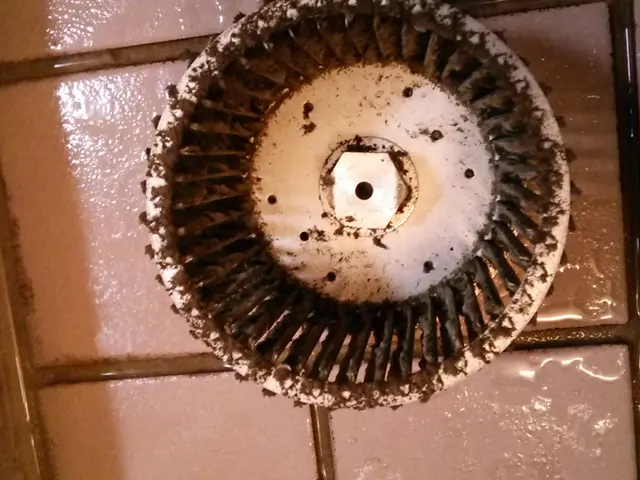 大人気！！レンジフードの分解洗浄クリーニングサービスの画像