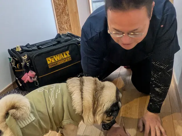 落として出来た床の凹み　家具の移動でついた床の傷　などを目立たなく補修します!サービスの画像