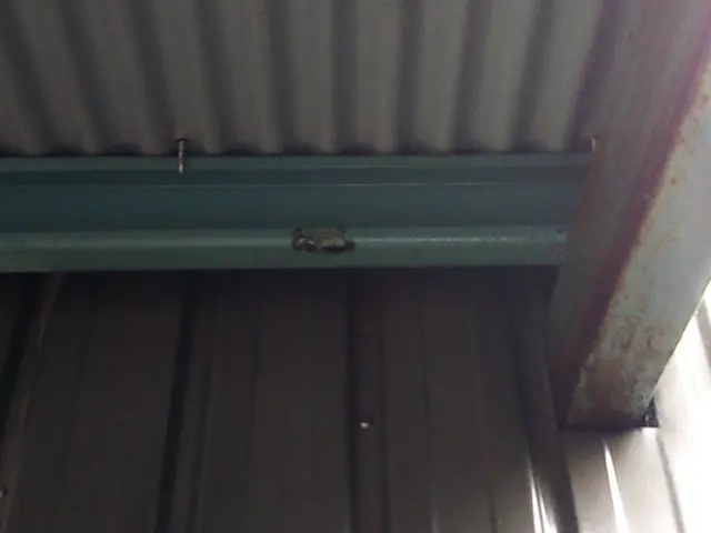 蜂の巣駆除　実績多数サービスの画像