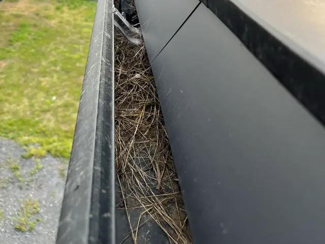 狩猟免許、防除作業監督者の有資格者の駆除専門家が対応します。ノミダニ対策も完備サービスの画像