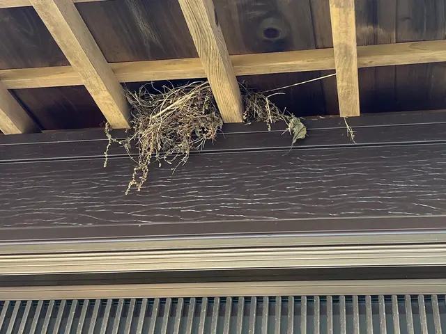 狩猟免許、防除作業監督者の有資格者の駆除専門家が対応します。ノミダニ対策も完備サービスの画像