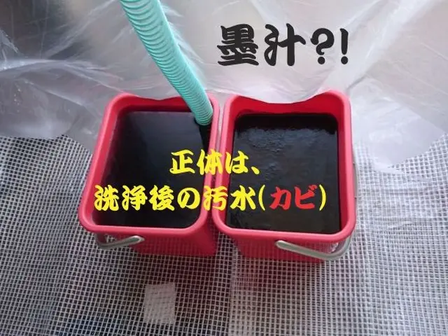 PayPay可【5年連続オリコン1位2020～24年】お奨めサービスです！サービスの画像