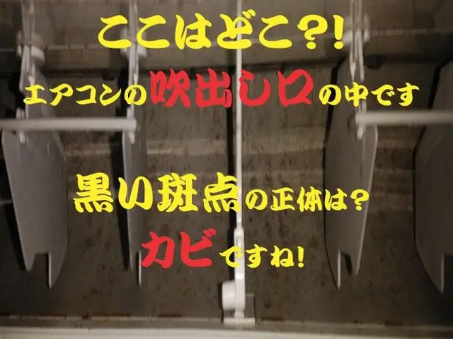 PayPay可【5年連続オリコン1位2020～24年】お奨めサービスです！サービスの画像