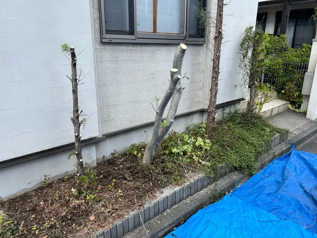 【冬季の伐採・抜根】荒れたお庭もスッキリ◎涼の空間と木のぬくもりを◎サービスの画像