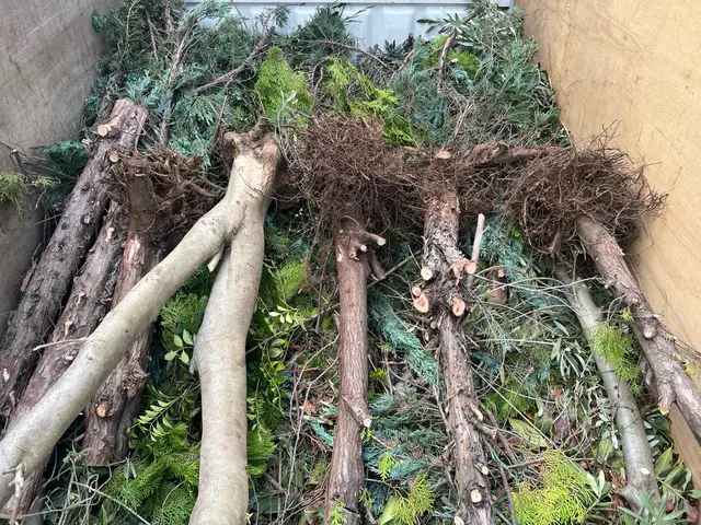 【冬季の伐採・抜根】荒れたお庭もスッキリ◎涼の空間と木のぬくもりを◎サービスの画像