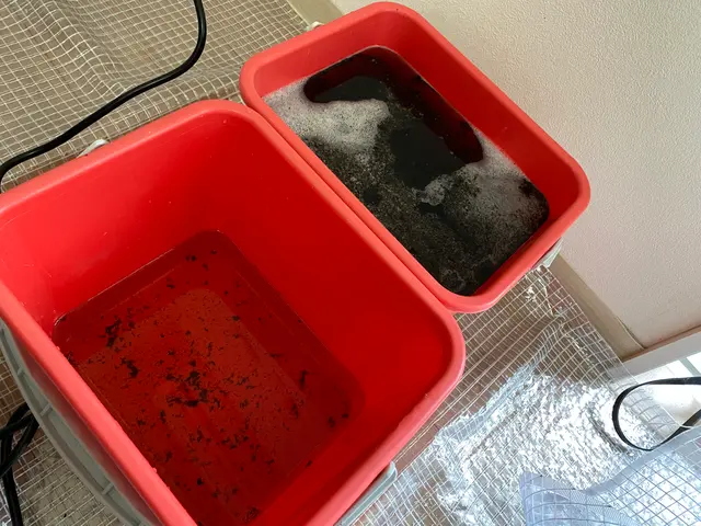 【衛生改善で快適さをお届け】◆非喫煙者◆お子様もペット有も問題無サービスの画像