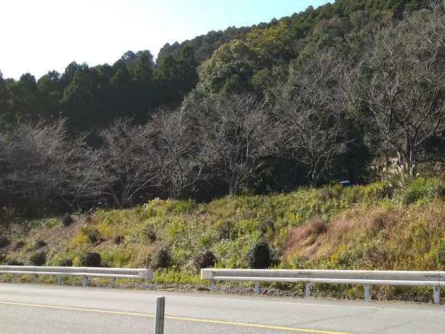 刈った草は回収不可です。太陽光施設などの300坪以上も対応！アパート管理地 などサービスの画像