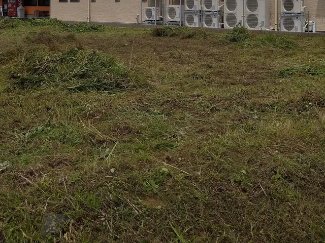 刈った草は回収不可です。太陽光施設などの300坪以上も対応！アパート管理地 などサービスの画像