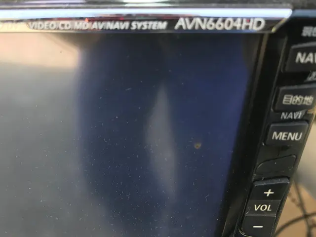 出張ナビ取付サービスの画像