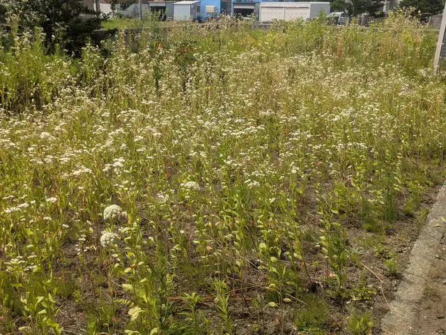 営業時間外・対応地域外も相談可能！事前説明と損害保険で安心して任せられるサービスの画像