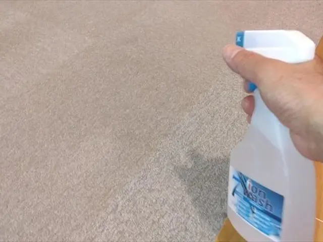 ラグ・カーペット、絨毯、出張クリーニングサービスの画像