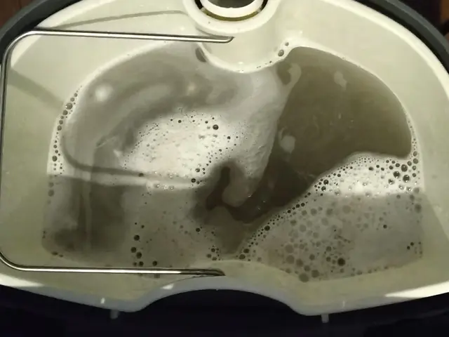 ラグ・カーペット、絨毯、出張クリーニングサービスの画像