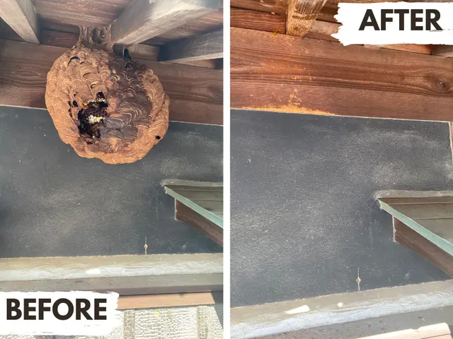 【当日対応もご相談ください】岡山在住5児主夫がぼったくり撲滅宣言サービスの画像