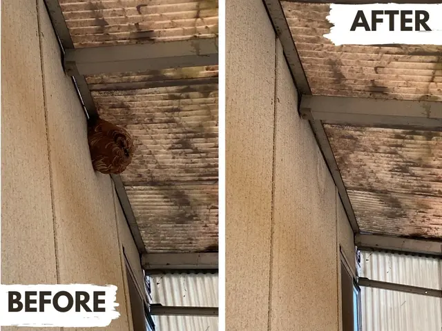 【当日対応もご相談ください】岡山在住5児主夫がぼったくり撲滅宣言サービスの画像