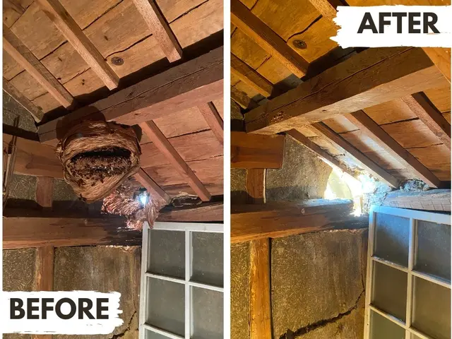 【当日対応もご相談ください】岡山在住5児主夫がぼったくり撲滅宣言サービスの画像