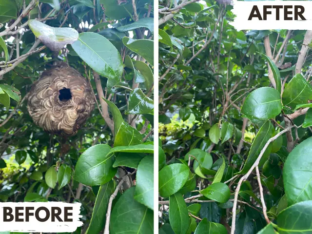 【当日対応もご相談ください】岡山在住5児主夫がぼったくり撲滅宣言サービスの画像