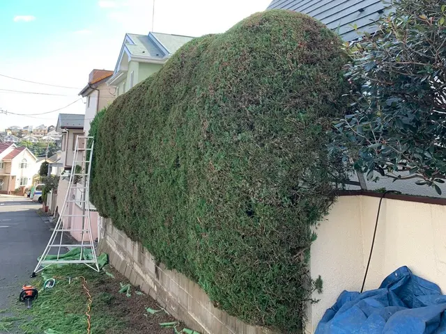 彩ガーデンの福田と申します！お庭まわりの事なら何でもご相談下さい。無料見積もり！サービスの画像