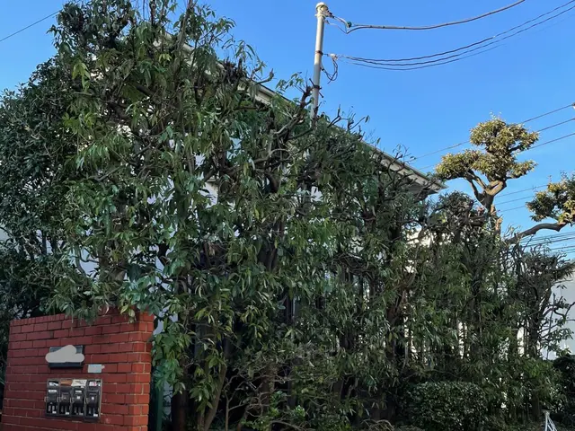 彩ガーデンの福田と申します！お庭まわりの事なら何でもご相談下さい。無料見積もり！サービスの画像