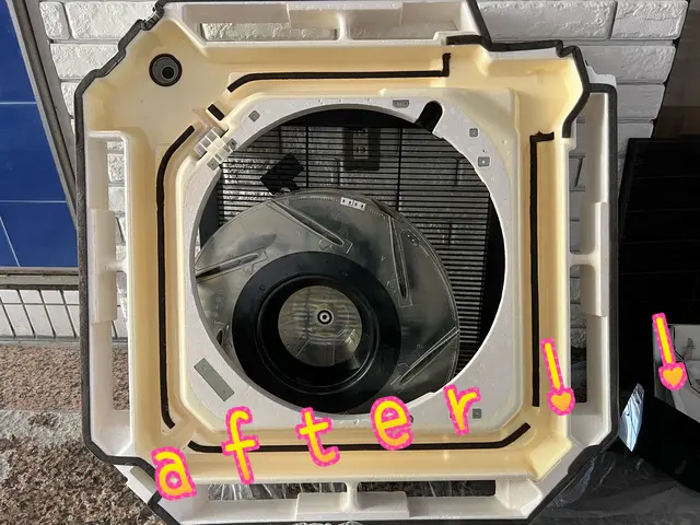 プロの現場の頑固な汚れもスッキリ落とします！サービスの画像