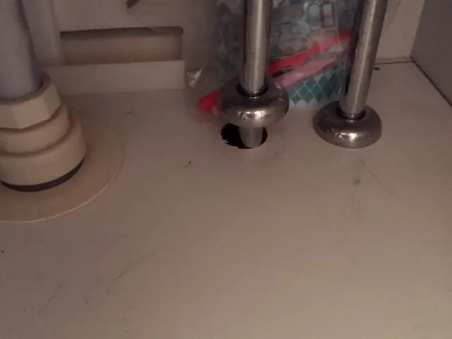 ゴキブリはプロにお任せ下さい。実績があります。サービスの画像